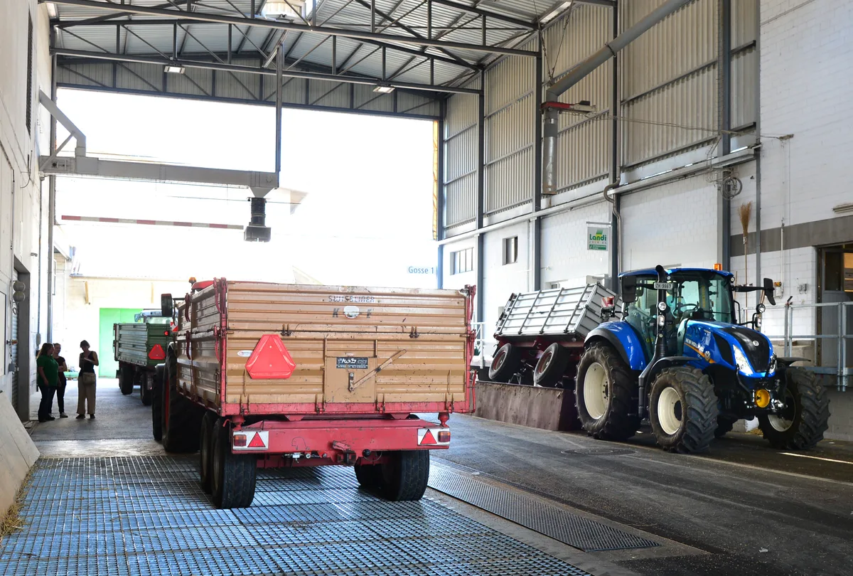 In Illnau wird derzeit zweispurig und im Zehnminutentakt gekippt. Mehrere Wagen und ein Traktor stehen in einer Halle.
